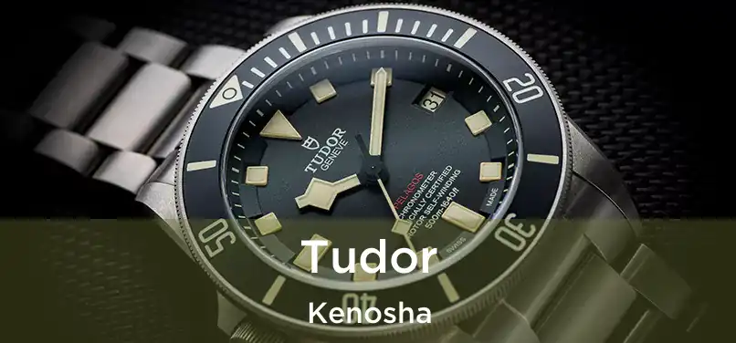 Tudor Kenosha