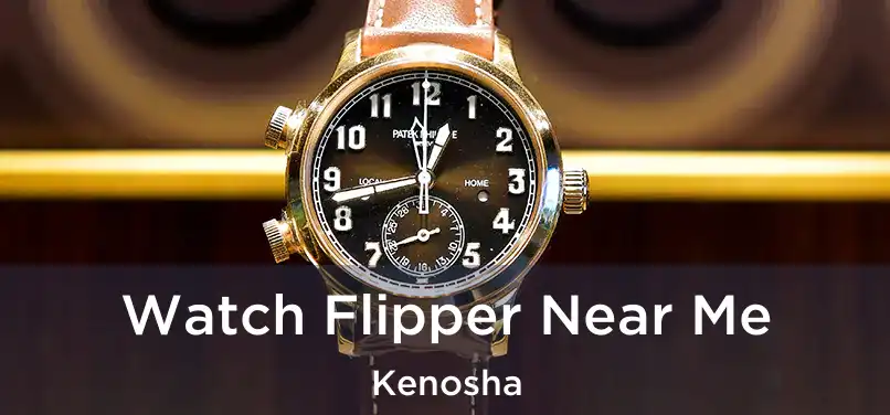 Watch Flipper Near Me Kenosha